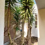 Les Escapades Luxo & Piscine *