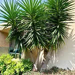 Les Escapades Luxo & Piscine *